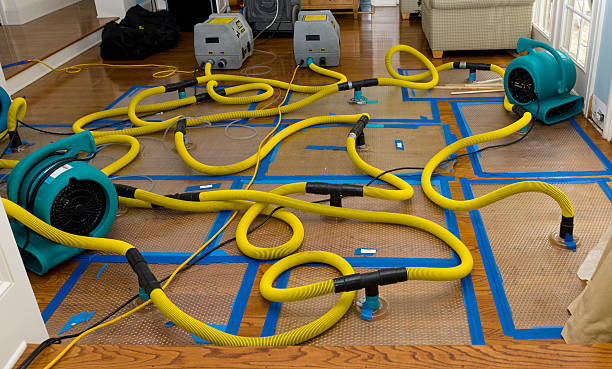 Professional Water Damage Repair technician working in Temple, PA